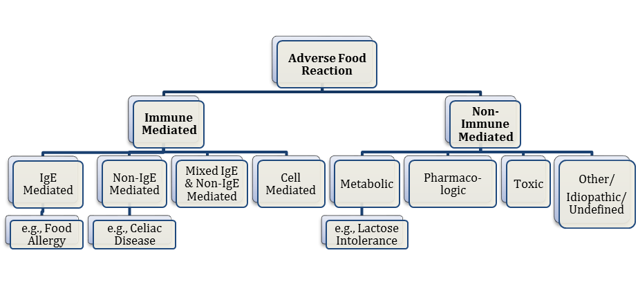Figure 2.1